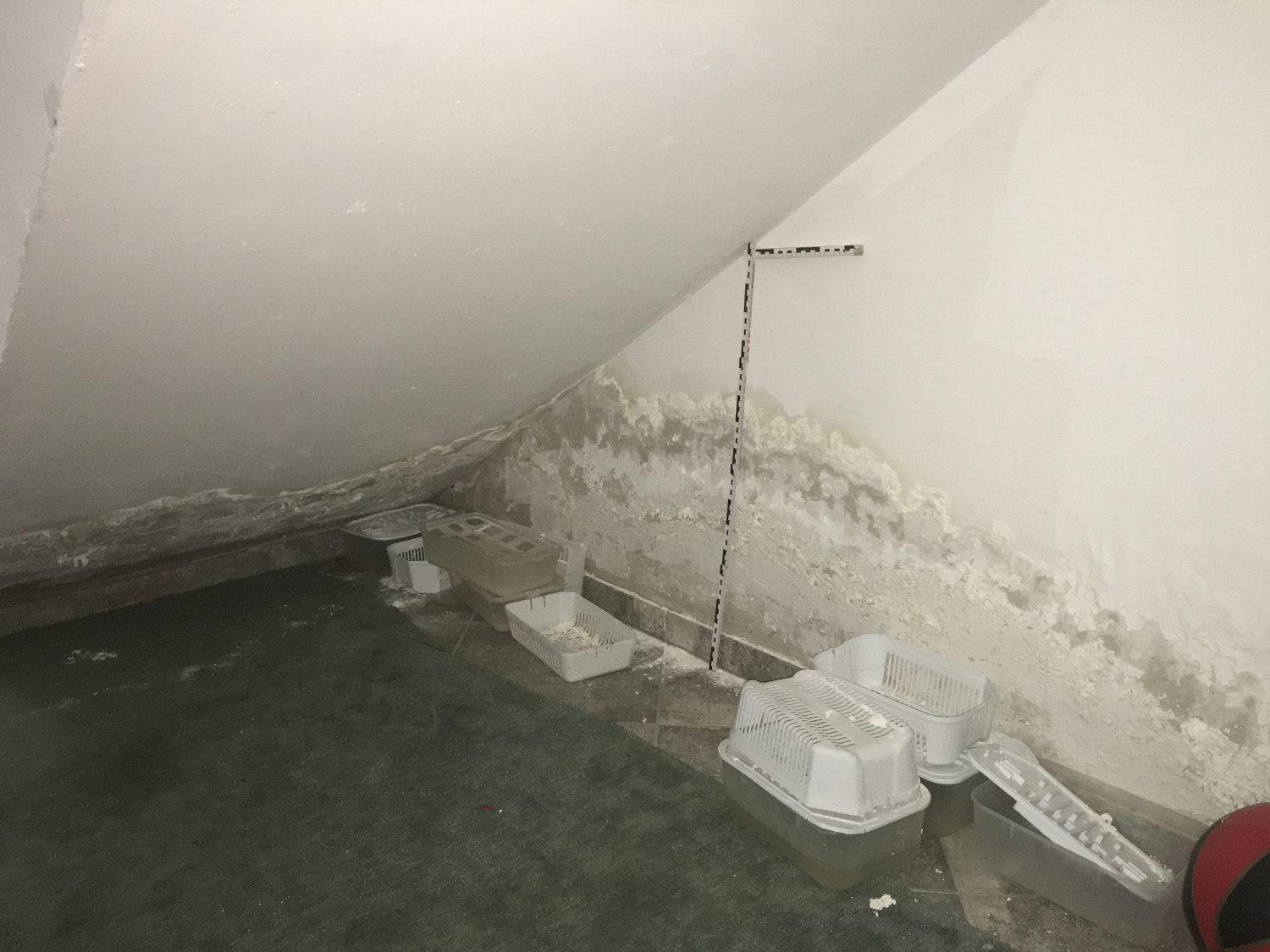 Ausgepr&auml;gte Feuchte- und Salzsch&auml;den an einer Wand im Dachgeschoss