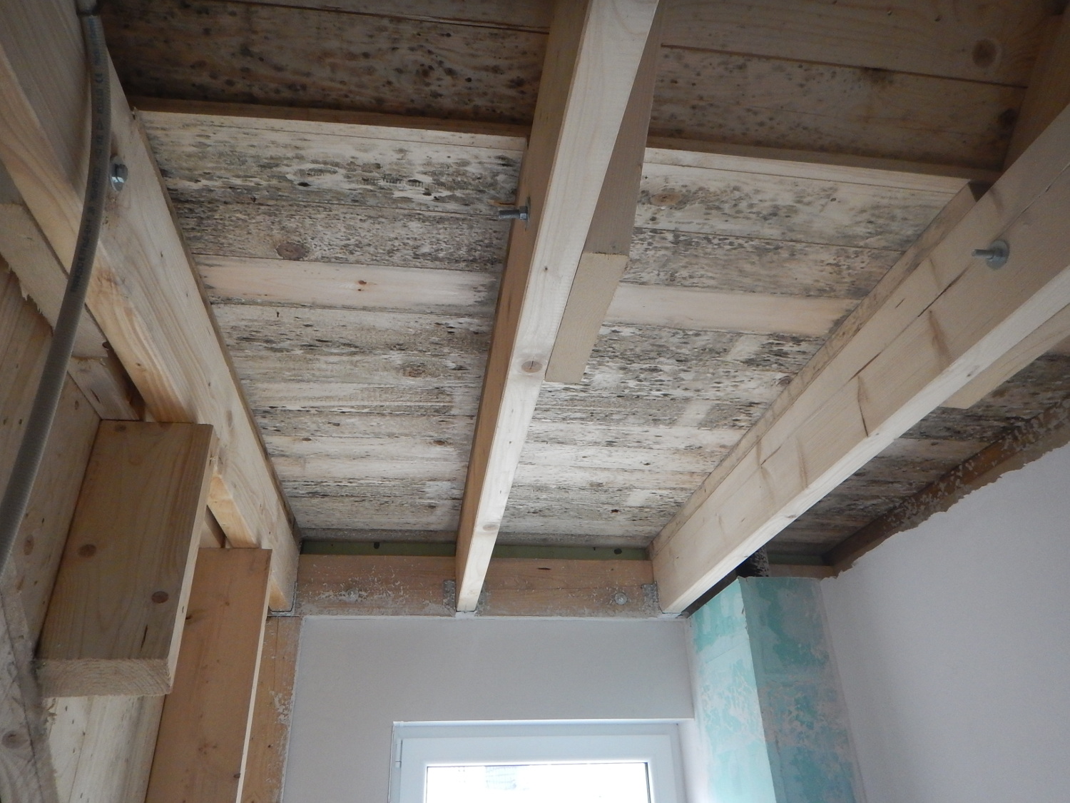 Schimmelbefall an Holzbalken einer Dachkonstruktion w&auml;hrend der Bauphase
